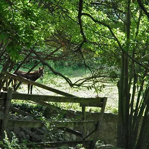 Bed & Breakfast D'hotes Il Monticello, Grasse